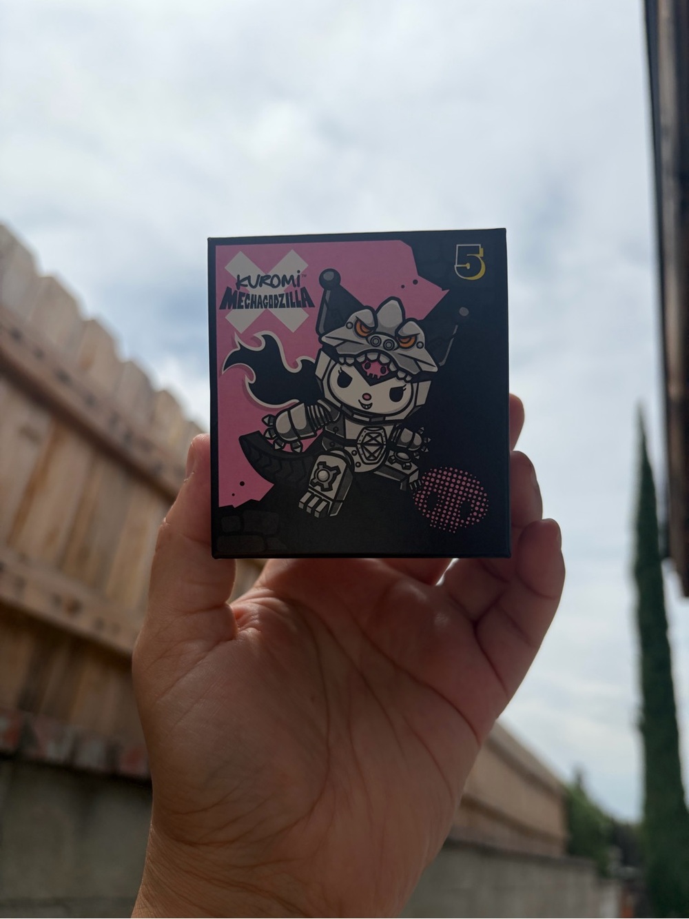 Kids Collectible Figure - Black & Pink